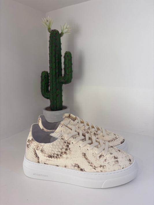 SNEAKER STOKTON PITTONATA