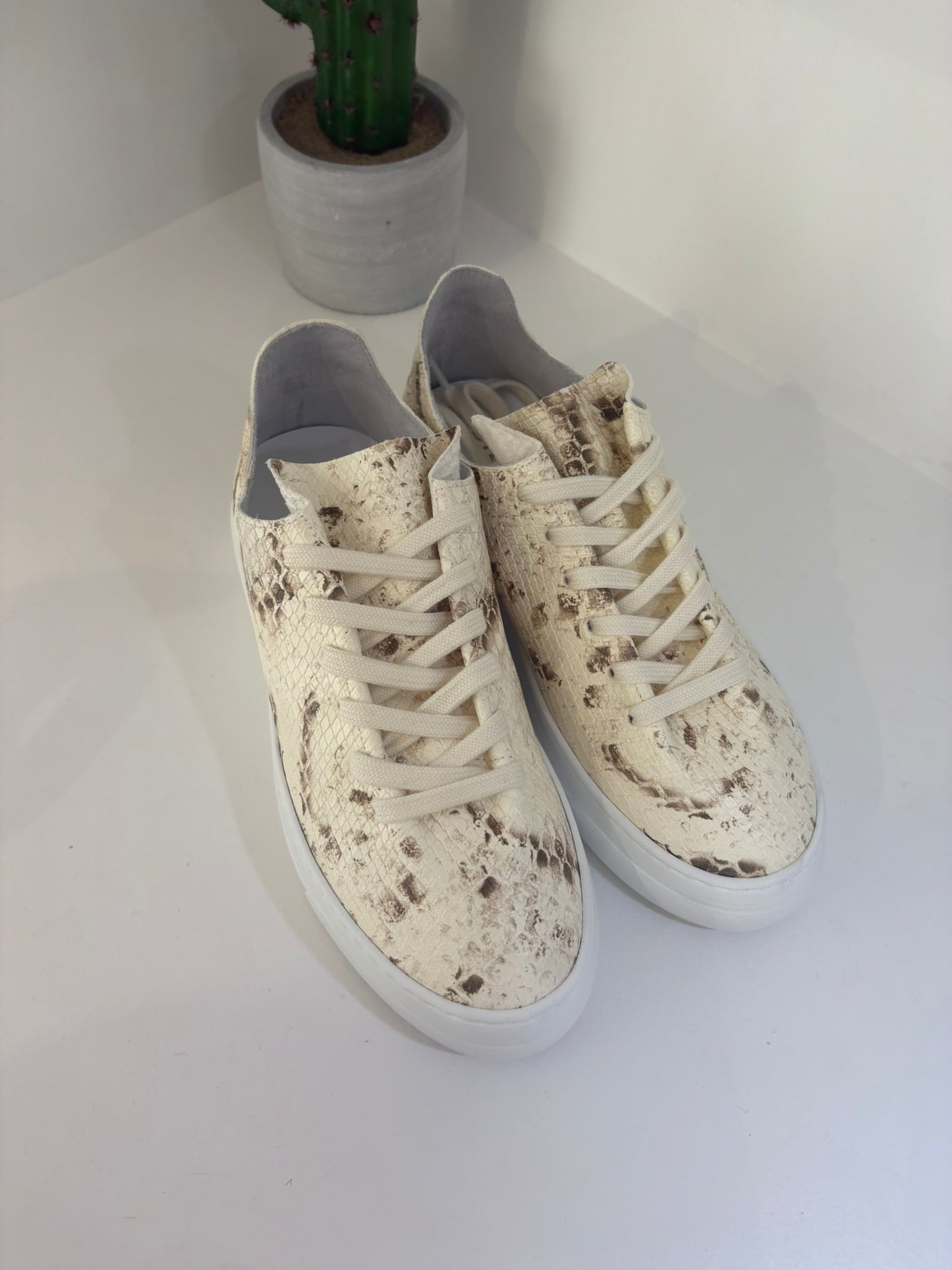 SNEAKER STOKTON PITTONATA