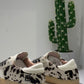 SNEAKER HILL LOW MUCCA