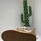 SNEAKER APE PAZZA BEIGE ORSO