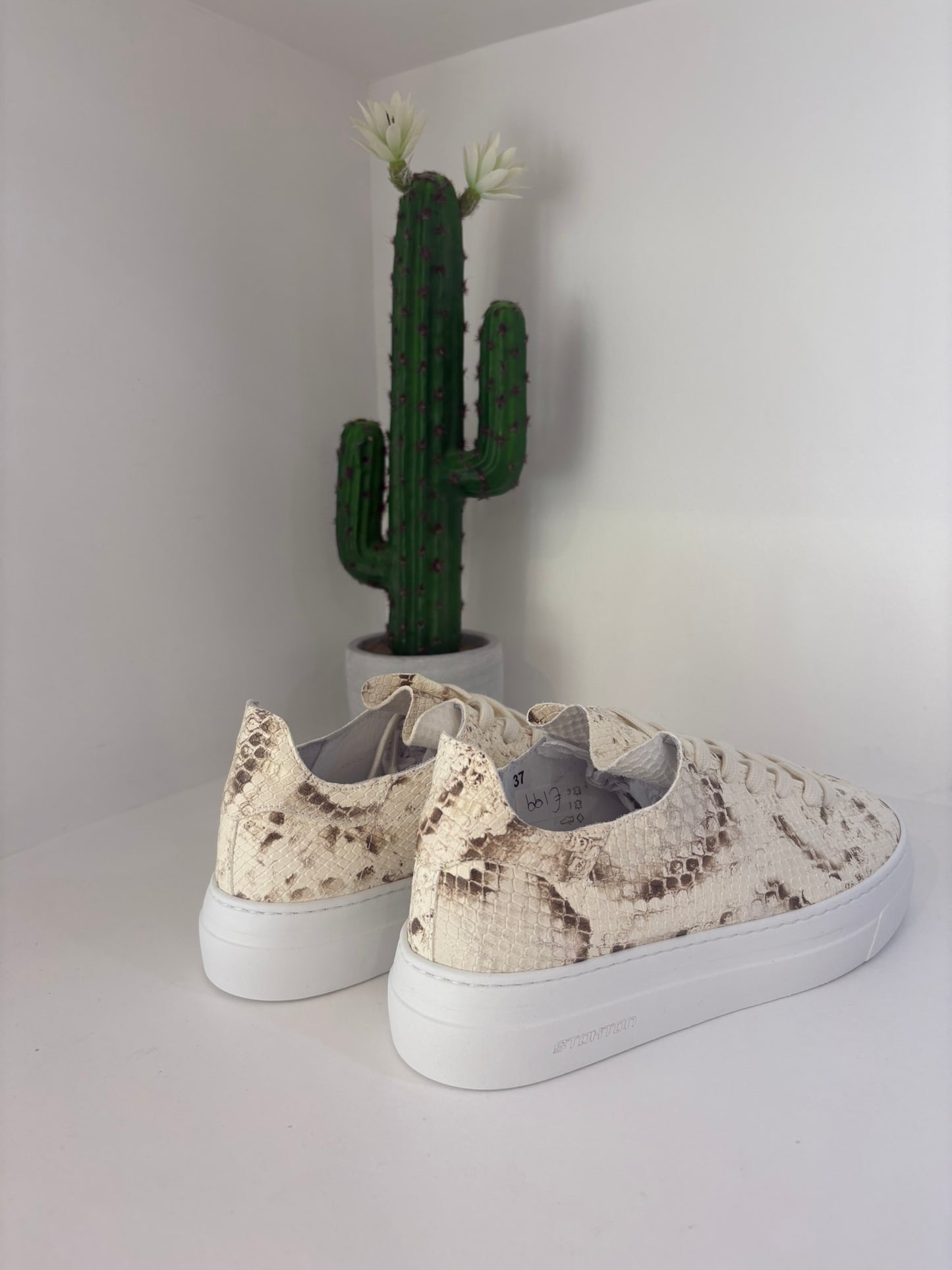 SNEAKER STOKTON PITTONATA